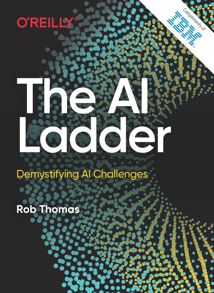 The AI Ladder