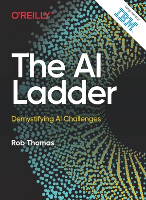 The AI Ladder